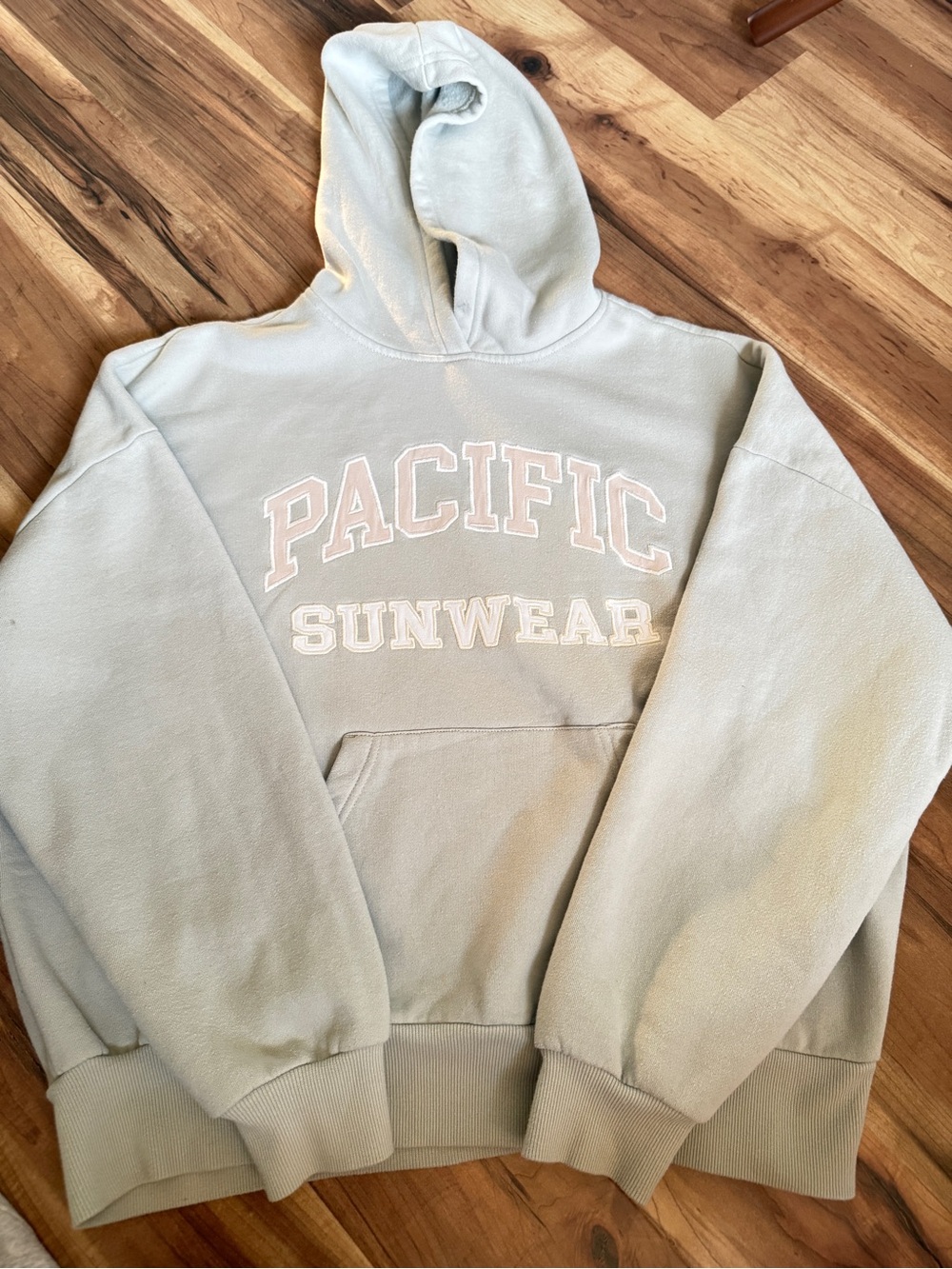 Sage PacSun Vintage Oversized Logo Hoodie